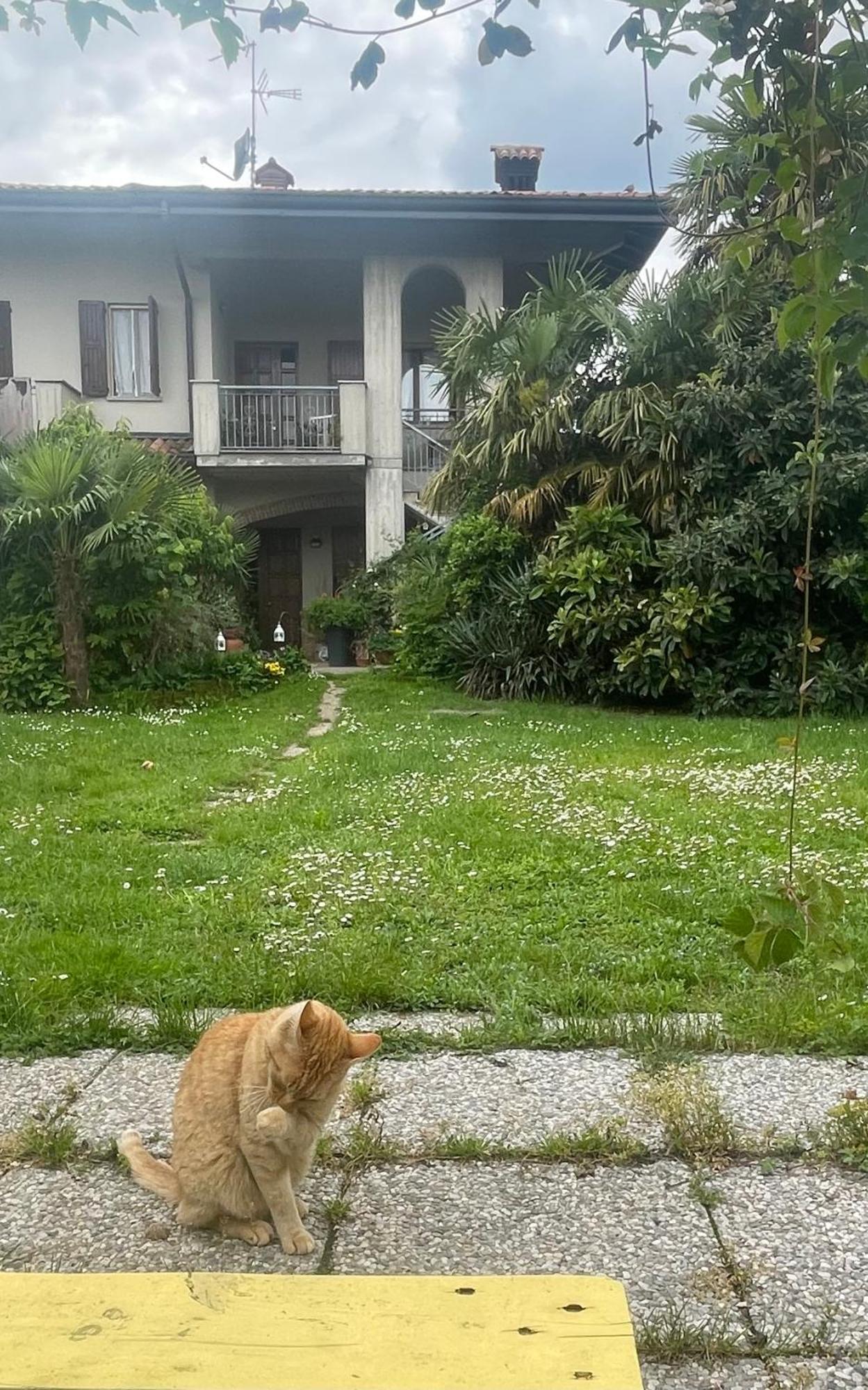Il Giardino Di Emilia - Intero Appartamento In Villa Con Giardino Privato E Piscina Estiva Pontirolo Nuovo Екстериор снимка